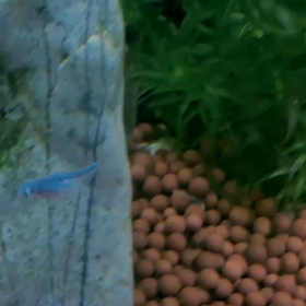 えーーっΣ(' ε 'oﾉ)ﾉの画像