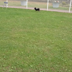 寒かったーの画像