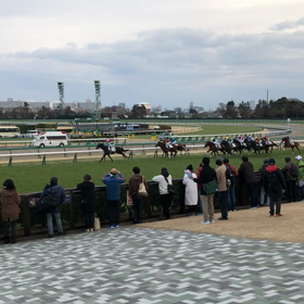 初当たり京都の12レースやでの画像