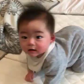 ハーモニカ？の画像