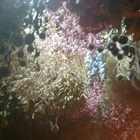 今日は、フォトグラファーの友人と、今後について語り合い。の画像