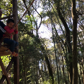どんぐり村の画像