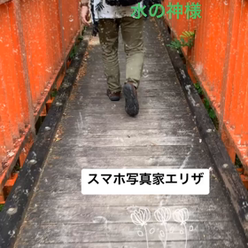 tiktok  を　楽しむの画像