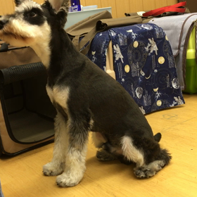 手が入るといいんどけどねぇ。の画像