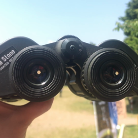 わたしの視界ふくしま  （ゆす）の画像