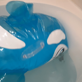 ぷかぷかの画像