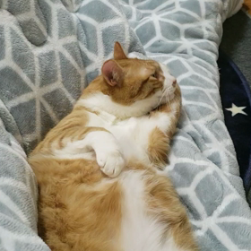 仙台坪沼ワークショップホゥ！の画像