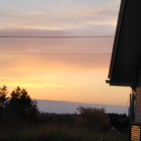 夕焼けとウグイスのコラボの画像