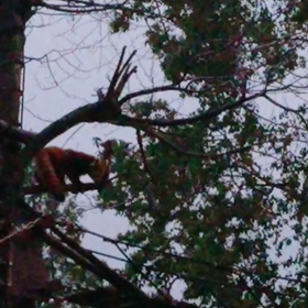 旭山動物園②の画像