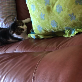 せっかくいい日かと思ったら…の画像