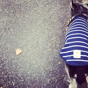 こうぼうもふでのあやまりの画像