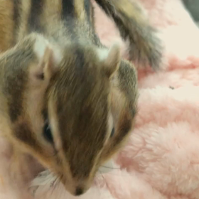 やっぱり女の子は気がきく〜♪の画像