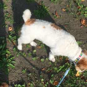 少しづつの画像