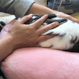 新春♡幸せ⁉︎のふんがの画像