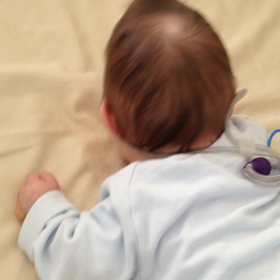 今日のつばちゃんの画像