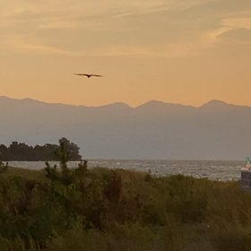 夕方の新海浜の画像