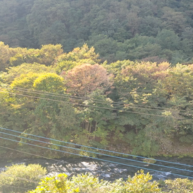 宿から見える景色を見てもらいたくての画像