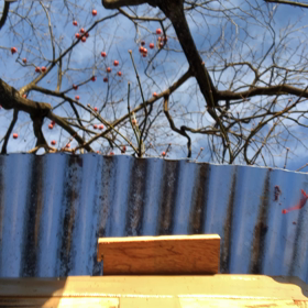 2023/12/10.12の画像