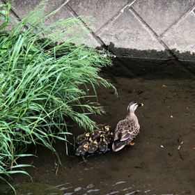 自主練も熱心の画像