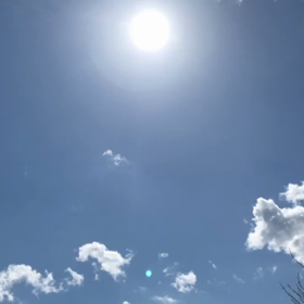 ウグイスとセッションの画像