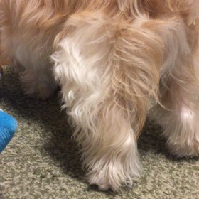 いちろう兄ちゃんの一人遊び^o^の画像