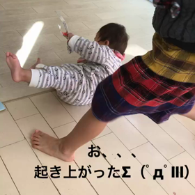 奇跡か？の画像