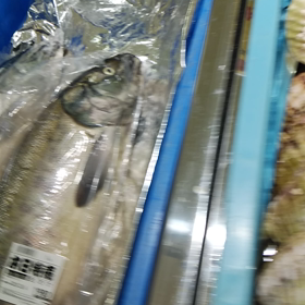 鮭の季節の画像