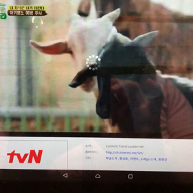 ボゴミ『BOYFRIEND』視聴  の準備の画像