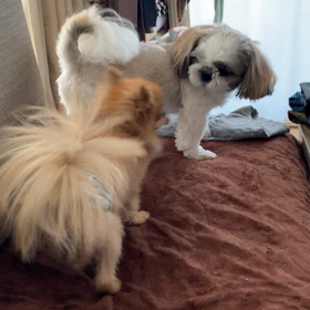 今日は、ご飯の食べが悪いなぁ。。。の画像