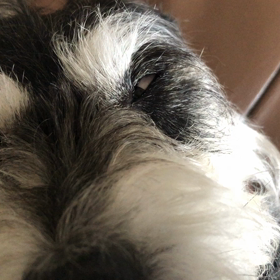 油断禁物の画像