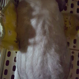 暗闇でおはようの画像