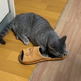 スリッパの画像