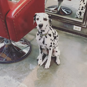 Blueのお客様への画像