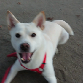 11月たっきーにかかったお金の画像