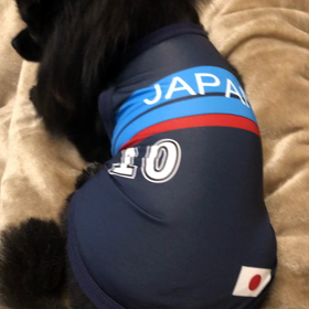 2021年3月25日　パツパツの画像