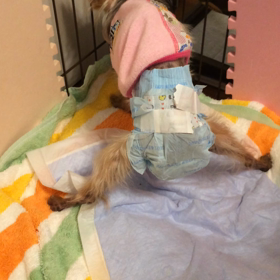 アネゴのミラクル〜♪の画像