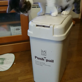 モネっち、なにかありますか？の画像