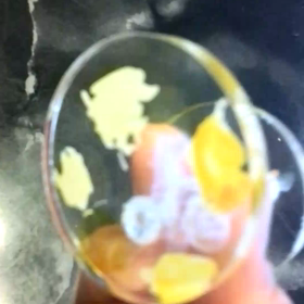 ローリング・ホイールスの画像