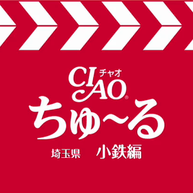 ちゅーるのCMの画像