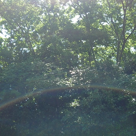 おはよう♬の画像