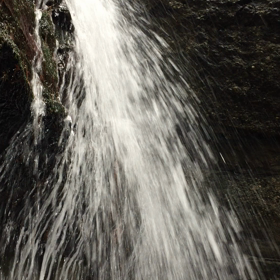 龍の腹への画像