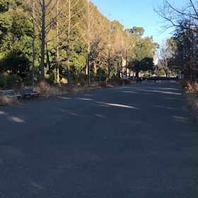 選考会 その４の画像