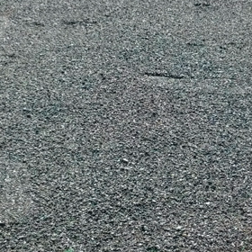 またまたドッグランの画像