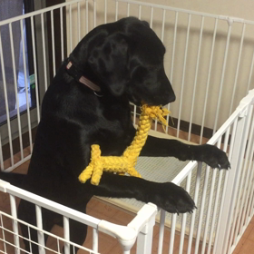 は〜ちゃんの大事大事の画像