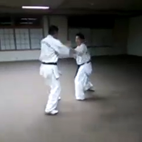 芦原空手のサバキの画像