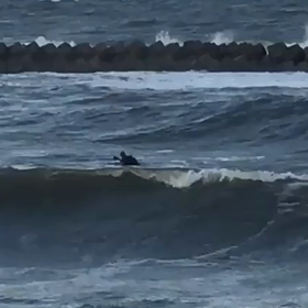 今朝のグズグズ波乗りのオイラの画像