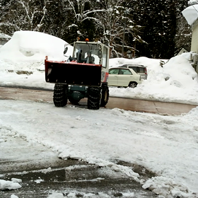 白馬便りの画像