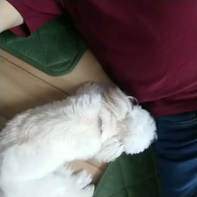 何がしたい？？？の画像