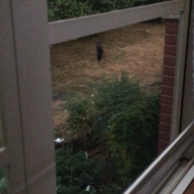 夏も終わりへ…の画像