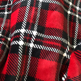 僕はてが吉【お散歩とけんちゃん】の画像